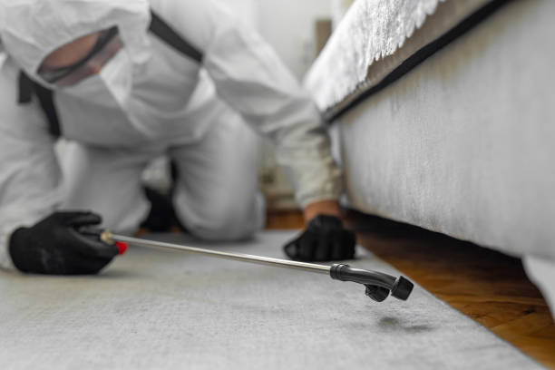 Professional Bed Bug Control technician working in Lake Panasoffkee, FL