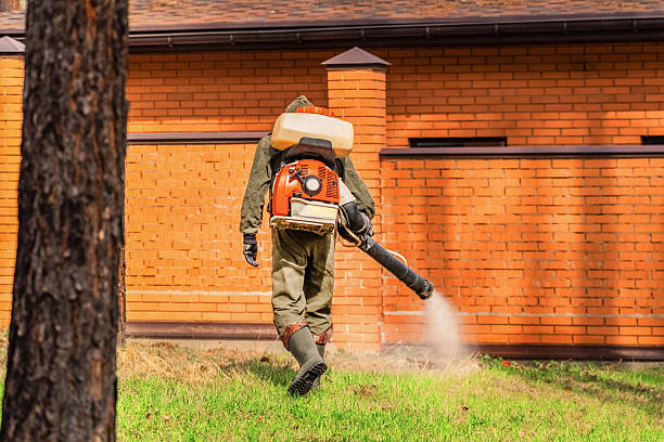 Trusted Cockroach Control service in Lake Panasoffkee, FL - Nex Pest Control